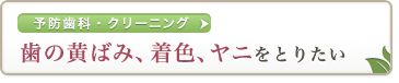 予防歯科・クリーニング